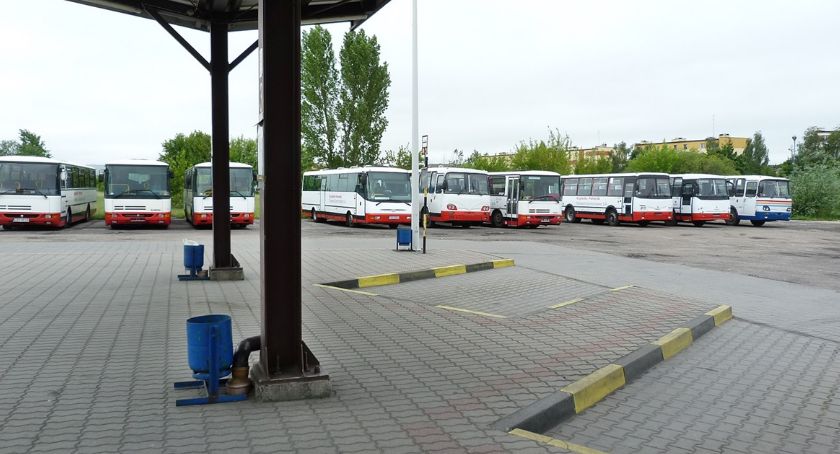 Tak wyglądają nowe linie autobusowe