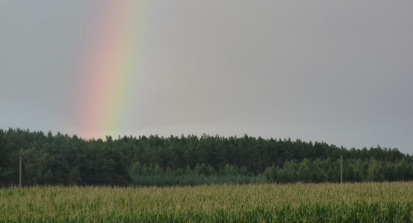 Konkurs fotograficzny dla dzieci i młodzieży