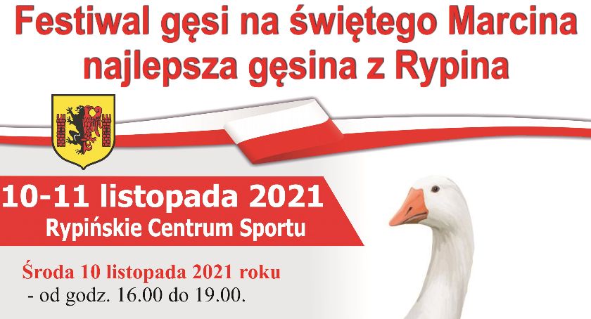 Na świętego Marcina najlepsza gęsina z Rypina