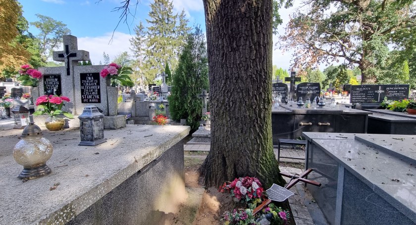 Szczyt wandalizmu czy głupoty? Ktoś niszczy drzewa na cmentarzu