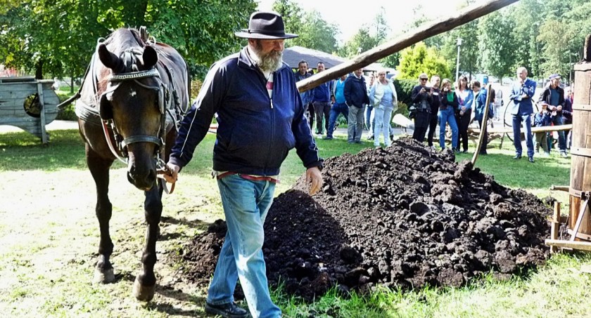 Jarmark na Agrze [zdjęcia]