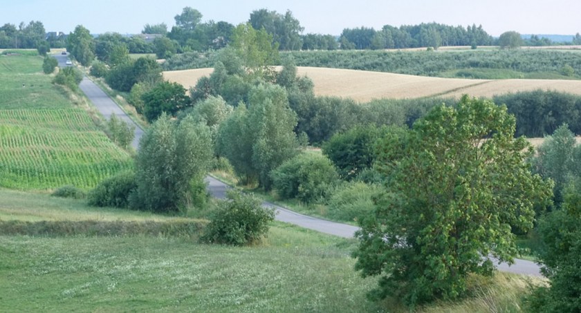 Samorząd gminny ma już pół wieku