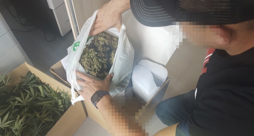 Plantatorom grozi odsiadka