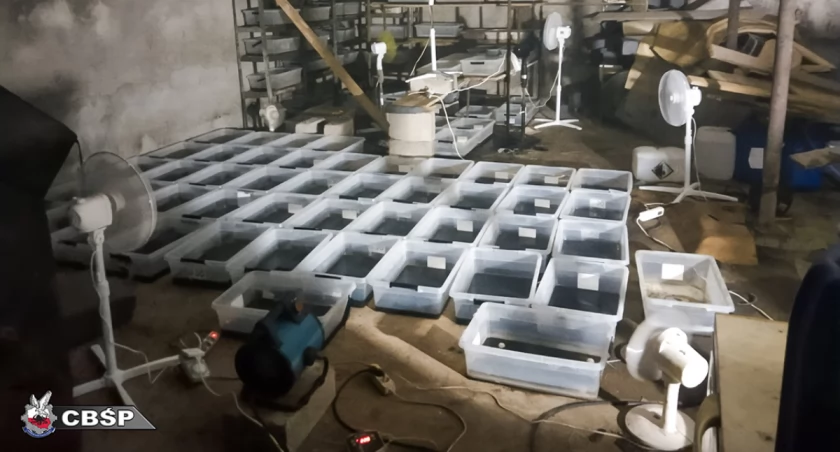 Produkowali narkotyki w stodole