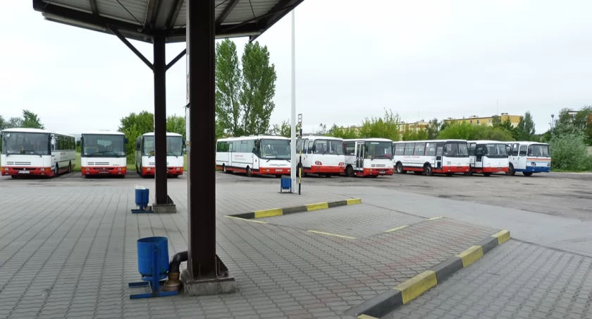 Utrzymali 11 linii autobusowych