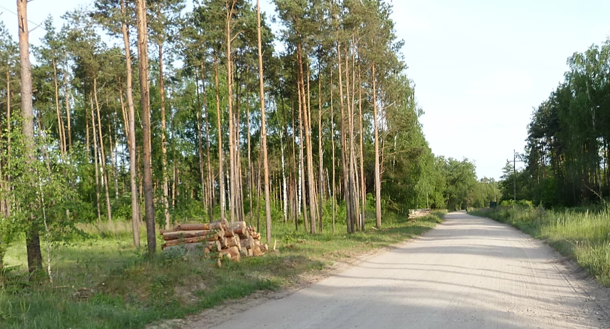 Przebudują krótki odcinek drogi