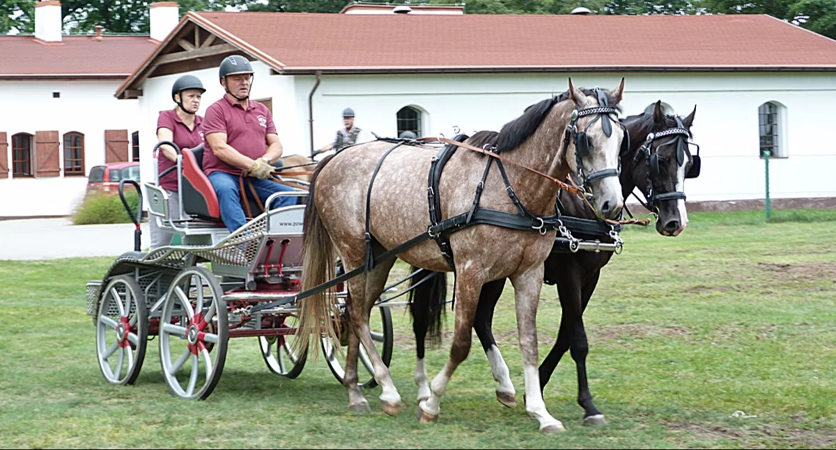 Dofinansowali obiekty sportowe