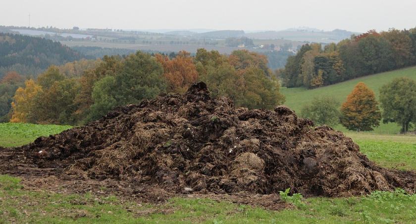 Nieco czasu na płyty obornikowe