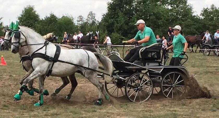 Świętowali Dzień Konia w Skrwilnie