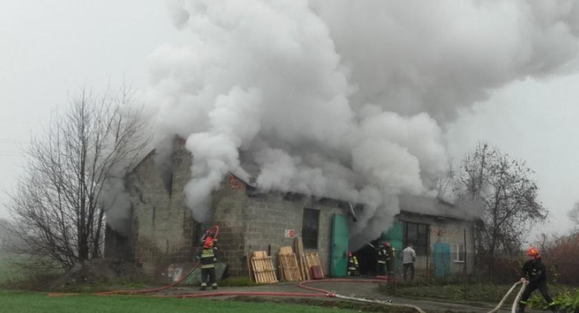 Pożar w Rusinowie, 7 zastępów w akcji