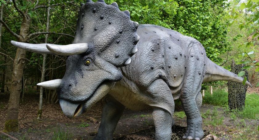 Paleontologia jest fascynująca