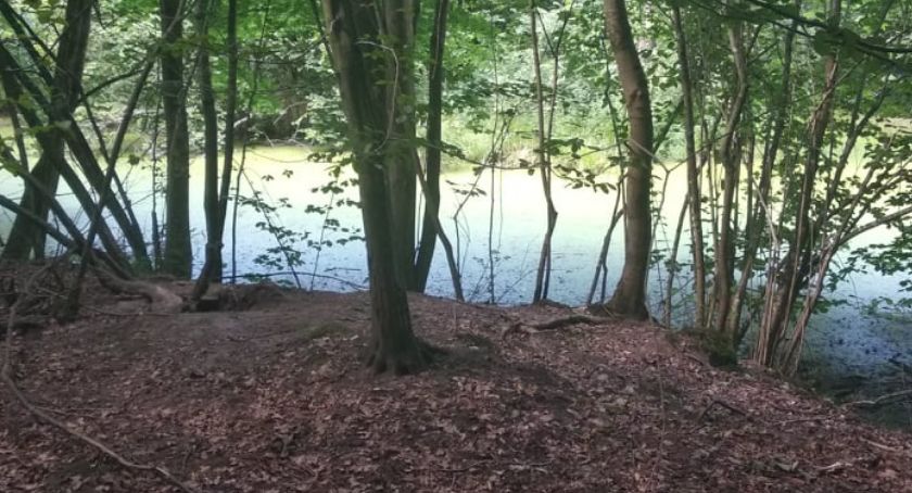 Rusinowski park zyska nowe oblicze