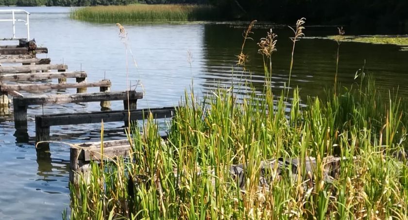 Drugie życie Sitnicy
