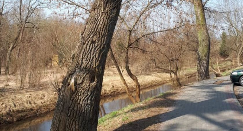 Wymiana pokoleniowa na Nadrzecznej