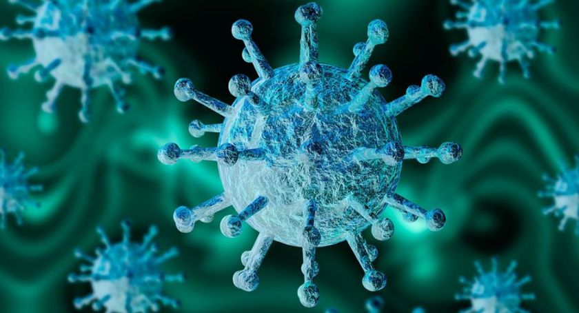 Co sądzimy o epidemii?