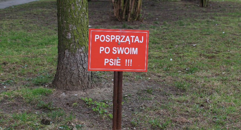 Sprzątanie obowiązkowe