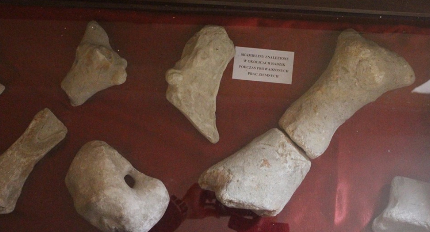 Małe muzeum w Radzikach Dużych