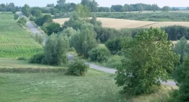 Zadbają o zazielenienie gminy