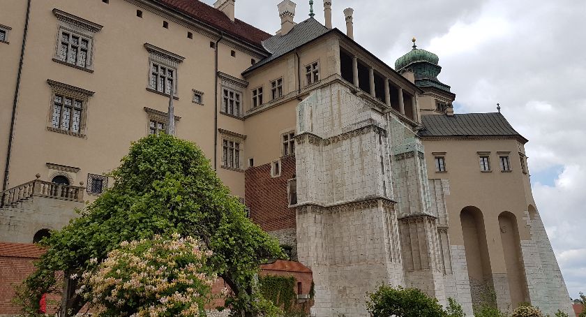 Podsumowanie I edycji programu „Dobro od Dziecka” Fundacji „Wawel z Rodziną”