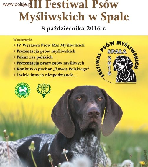 III Festiwal Psów Myśliwskich w Spale