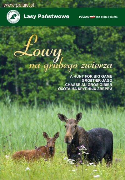 Film Łowy na grubego zwierza  Lasy Państwowe 