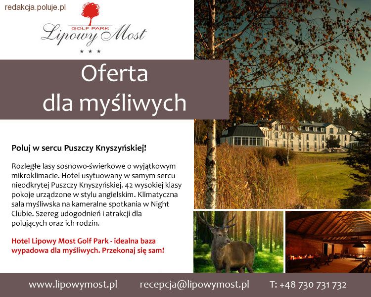 Puszcza Knyszyńska – idealna na polowanie ze sztucerem... lub aparatem