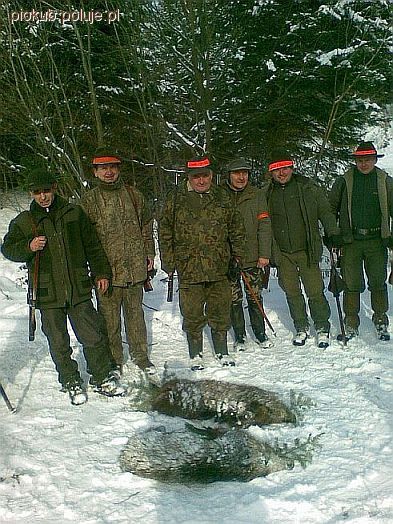 Polowania zbiorowe zakończono