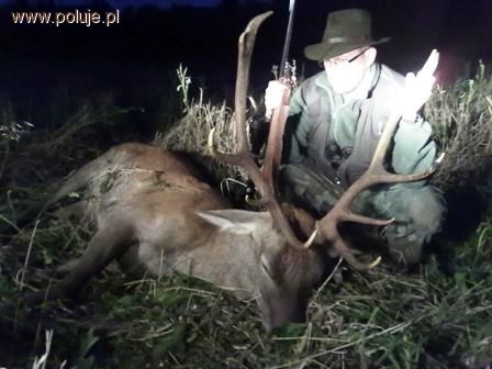 Wieniec na zachętę