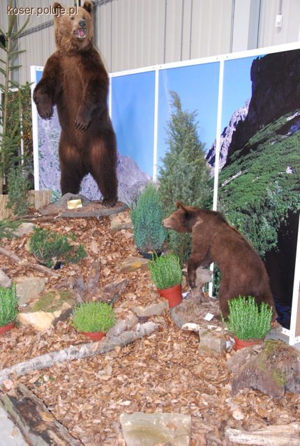 Byłem na targach Hubertus Expo 2012