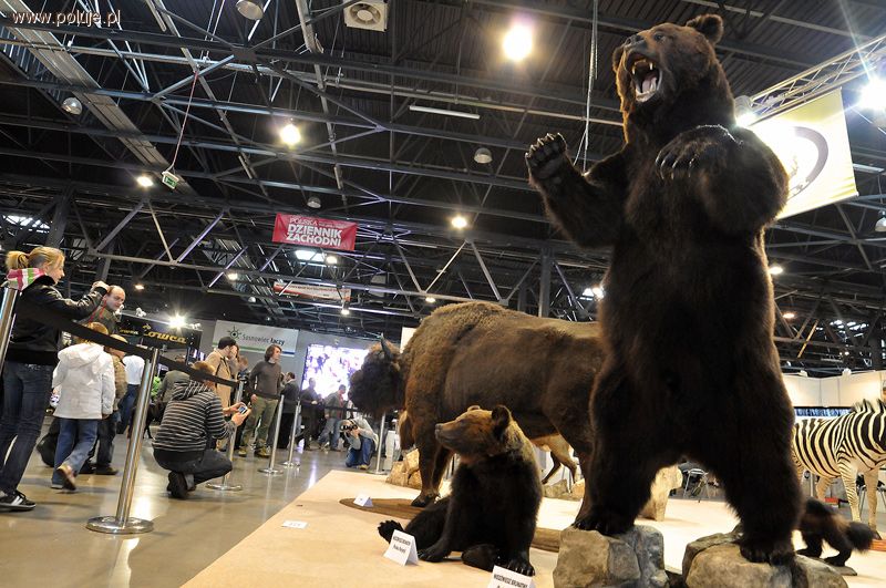 Wielkie polowanie w Expo Silesia w Sosnowcu EXPO Hunting 2012