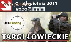 EXPOHunting Sosnowiec 2011 - Polowanie na nowości 