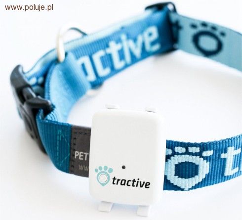 Obroża GPS dla psa myśliwskiego