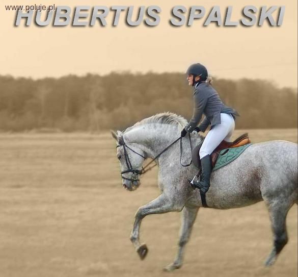 Hubertus Spalski 19-20 października 2013