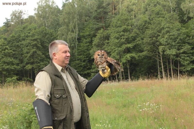 Wyleczyli zwierzęta i wypuścili je do lasu