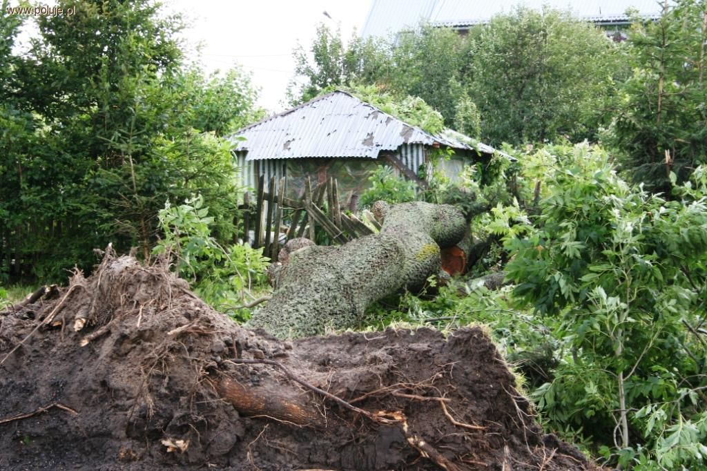 Nawałnice na Warmii i Mazurach niszczą lasy