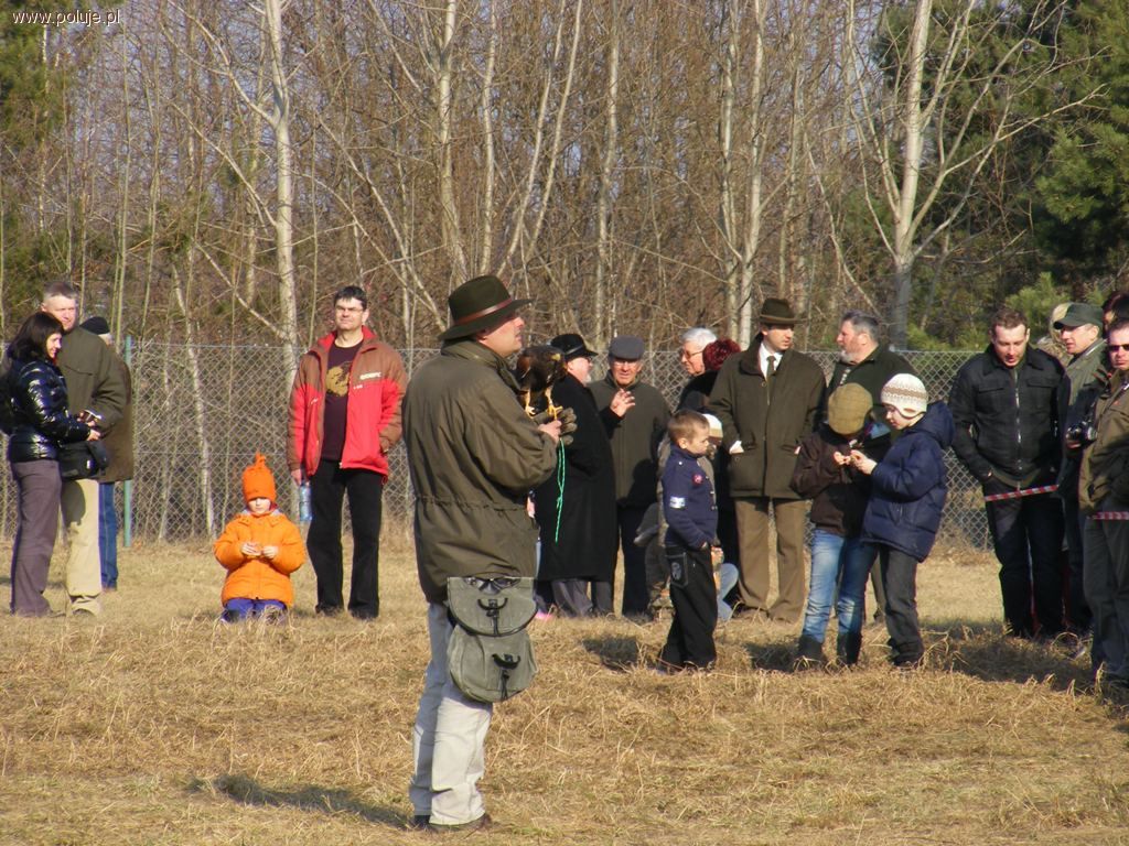 Wystawa Trofeów Łowieckich w Jedwabnie