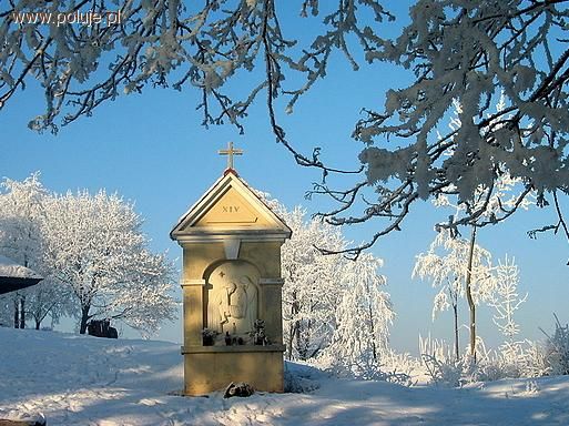 Kulą w płot