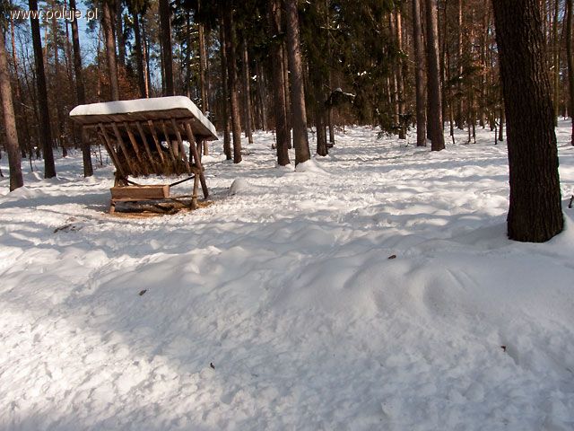 Trzynastego grudnia roku pamiętnego...