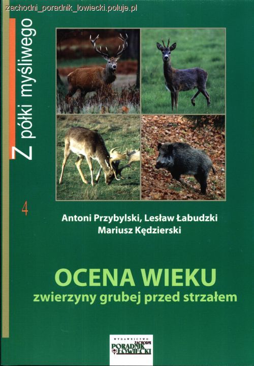 Ocena wieku zwierzyny grubej przed strzałem