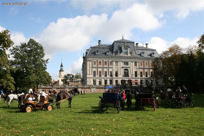 Dzień św. Huberta w Pszczynie