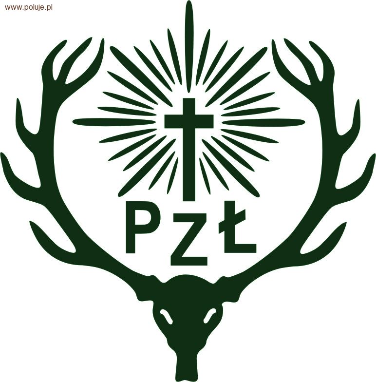 Liga Strzelecka – I runda eliminacji  