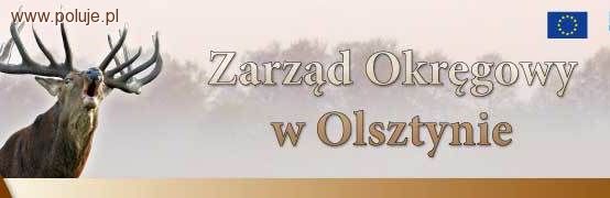 HUBERTUS 2013 w Olsztynie