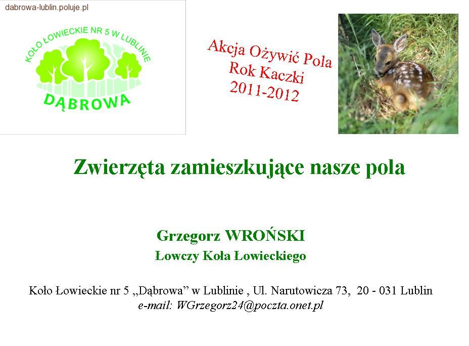 Współpraca w ramach akcji 