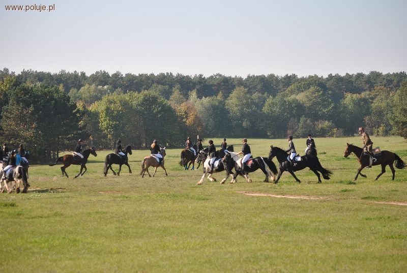 Targi Myśliwskie w Bydgoszczy 2016 PROGRAM