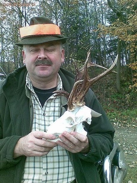 Polowanie w Święto Niepodległości