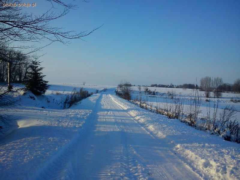 Trudny rok w naszym Kole Łowieckim