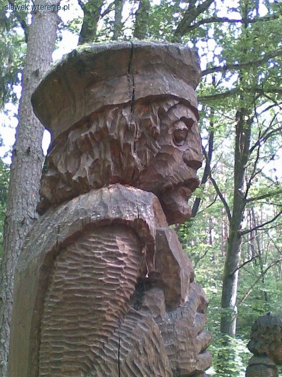 Galeria Leśna Powstania Styczniowego, Arboretum Kopna Góra
