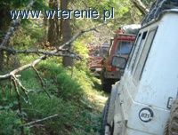 W Szczebrzeszynie chrząszcz brzmi w trzcinie 9-10.06.2012