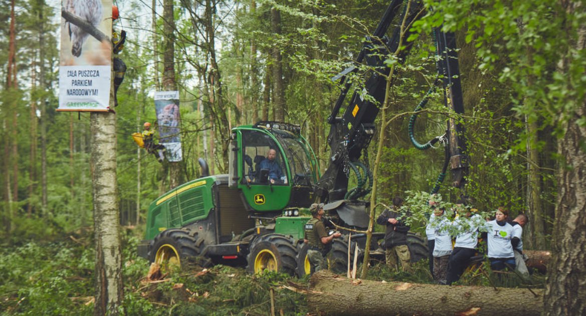 Puszcza Białowieska miała sobie poradzić sama. Wszyscy słyszeli to wielokrotnie – cz. I