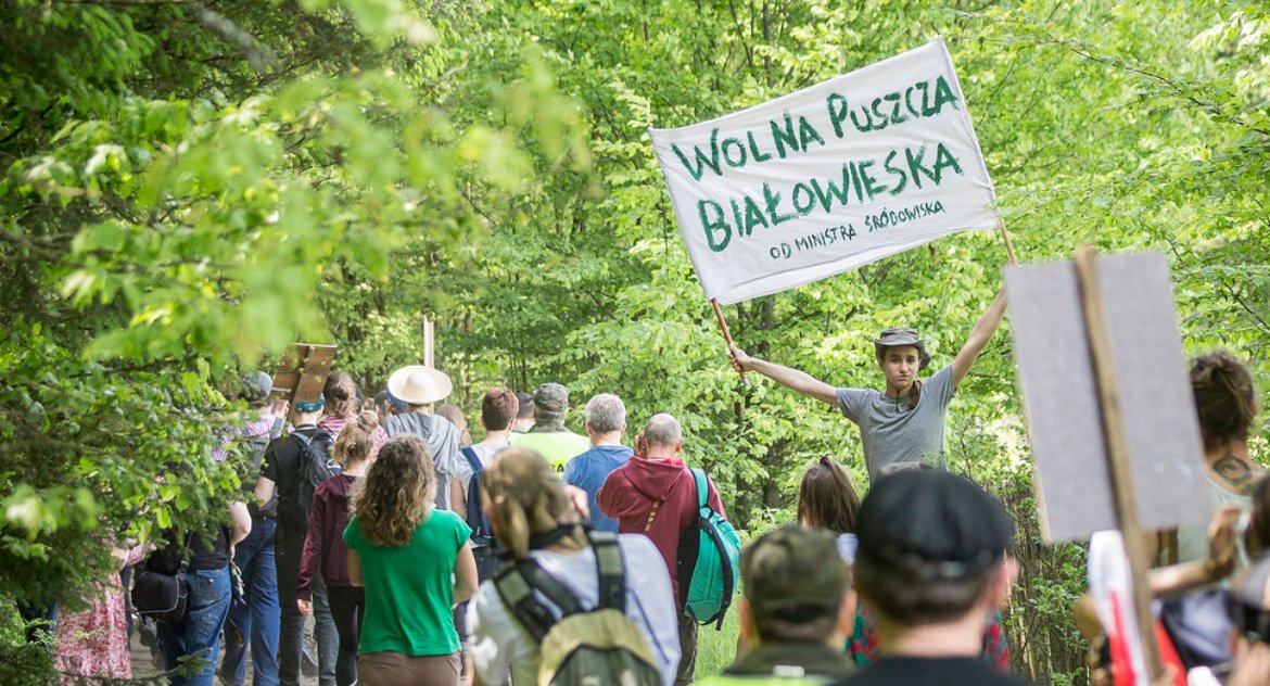 Puszcza Białowieska miała sobie poradzić sama. Wszyscy słyszeli to wielokrotnie – cz. II